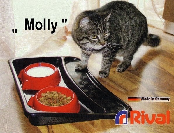 Schüssel Set mit Tablett RIVAL - Molly 906 000